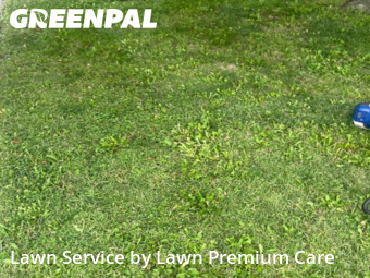 Lawn Servicein Bellevue,68123,Grass Cutting by Lawn Premium Care, work completed in Nov , 2025