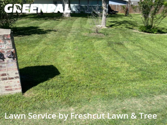 Lawn Cut nearby New Braunfels, TX, 