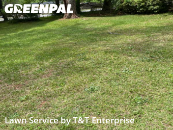 Lawn Mow nearby Decatur, GA, 