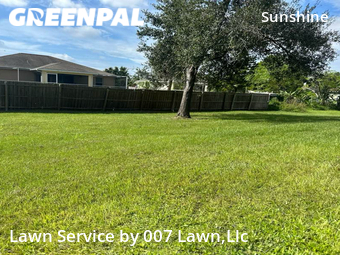 Grass Cut nearby Lehigh Acres, FL, 