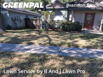 Grass Cutting nearby Valrico, FL, 