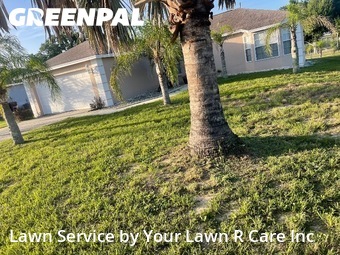 Lawn mowed in Lake Wales, 33853