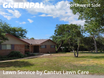 Grass Cut nearby Helotes, TX, 