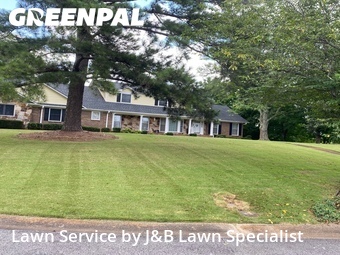 Lawn Mow nearby Birmingham, AL, 