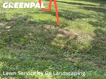 Lawn Service nearby Rock Hill, NC, 