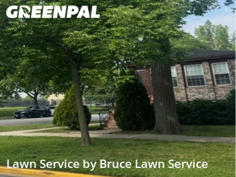 Grass Cuttingin Oak Park,60302,Lawn Mowing Service by Bruce Lawn Service, work completed in Nov , 2025