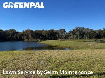 Lawn mowed in Palm Coast, 32137