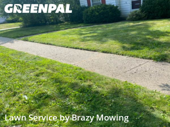 Yard Work in Wayne, 48184, Grass Services by Brazy's Mowing Llc, work completed in Nov , 2025