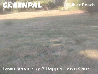 Lawn Cutting nearby Bellingham, WA, 