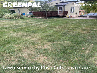 Grass Cut nearby Kansas City, MO, 