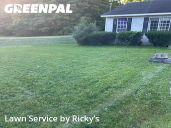 Lawn Mowing Service nearby Dorr, MI, 