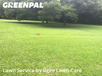 Grass Cutting nearby Rock Hill, NC, 