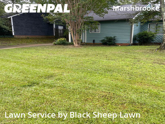 Yard Cutting nearby Charlotte, NC, 