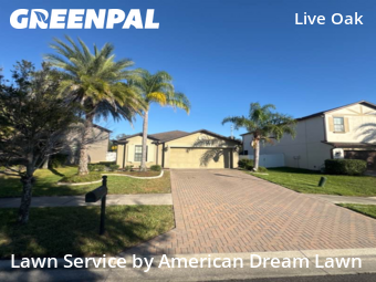 Lawn Maintenance nearby Tampa, FL, 