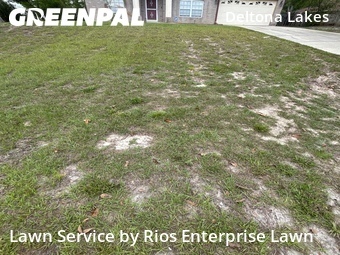 Lawn Cut nearby Deltona, FL, 