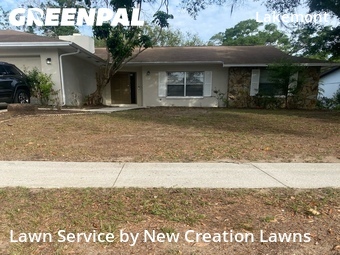 Lawn Mowing nearby Valrico, FL, 
