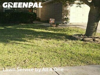Lawn Mowing Service nearby Cibolo, TX, 