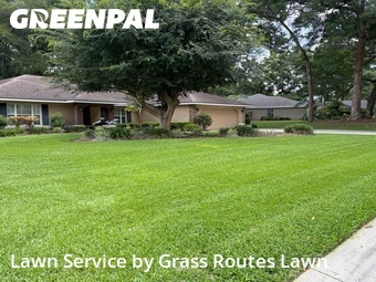 Yard Mowing nearby Ocala, FL, 