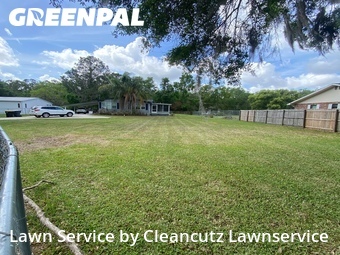 Lawn Cut nearby Lakeland, FL, 