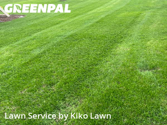 Yard Cutting nearby Maplewood, MN, 