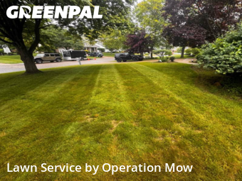 Yard Grooming in North Canton, 44720, Mowing Services by Operation Mow, work completed in Oct , 2025