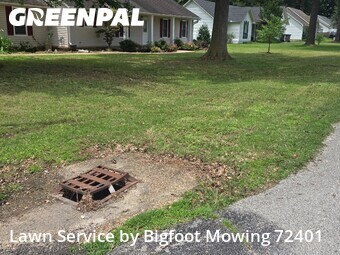 Lawn mowed in Paragould, 72450