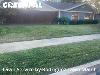 Lawn Cut nearby Tulare, CA, 