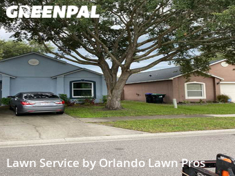 Grass Cut nearby Orlando, FL, 