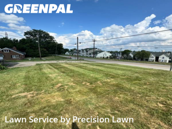 Lawn Mow nearby Highland Heights, OH, 