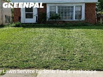 Grass Cut nearby Shaker Heights, OH, 