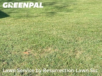 Lawn Mow nearby Greensboro, NC, 