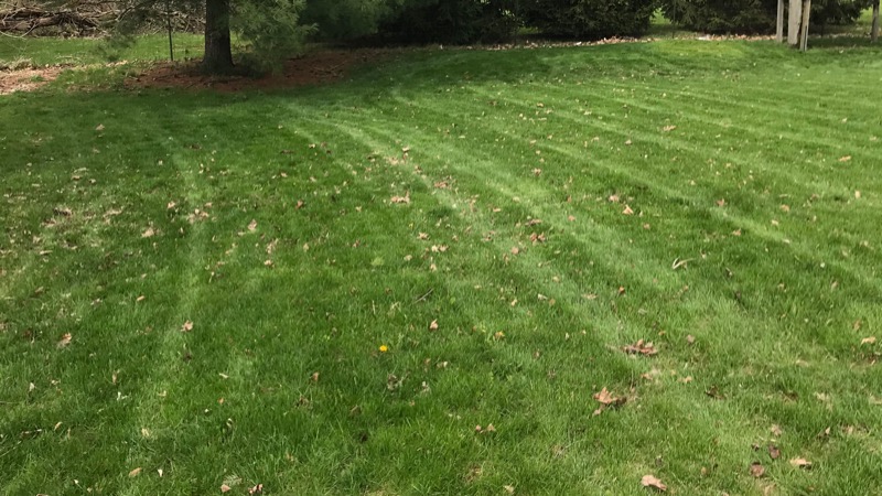 Lawn Care Service in Westfield, IN, 46074