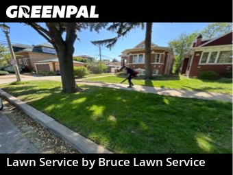 Lawn Mowingin Oak Park,60302,Yard Cutting by Bruce Lawn Service, work completed in Dec , 2025