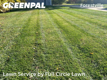Lawn Care nearby Cincinnati, OH, 