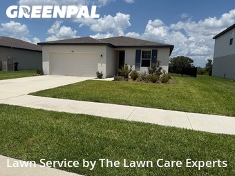 Lawn Cut nearby Auburndale, FL, 