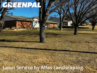 Landscaping In Lewisville,75057,Landscaping Maintenance by Alfas Landscaping, work completed in Feb , 2026