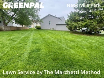 Lawn Care nearby Naperville, IL, 