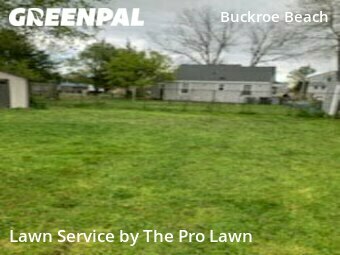 Lawn Mowing nearby Hampton, VA, 