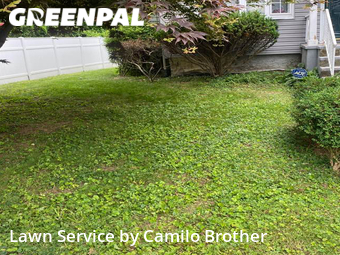 Yard Mowing nearby Norwalk, CT, 
