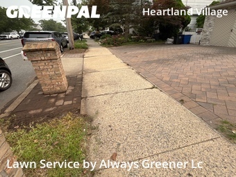 Lawn mowed in Staten Island, 10314