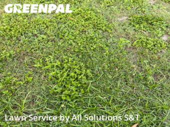 Lawn Care Service nearby Poinciana, FL, 