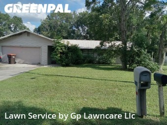 Lawn Cut nearby Belleview, FL, 