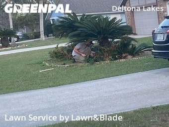 Lawn Mow nearby Deltona, FL, 