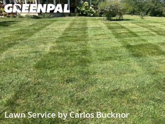 Lawn Cutting nearby Lee's Summit, MO, 