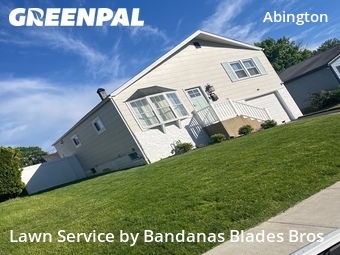 Grass Cut nearby Roslyn, PA, 