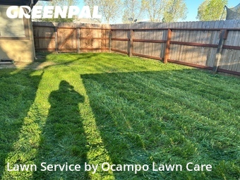 Grass Cutting nearby Mc Clellan Park, CA, 