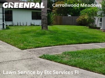 Lawn Mowin Tampa,33625,Yard Mowing by Etc Services Fl, work completed in Jun , 2026