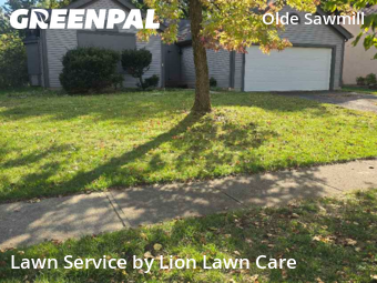 Lawn Maintenance nearby Dublin, OH, 