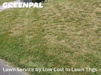 Yard Mowing nearby Colbert, WA, 