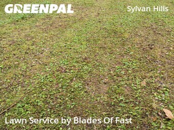 Lawn Service nearby Atlanta, GA, 